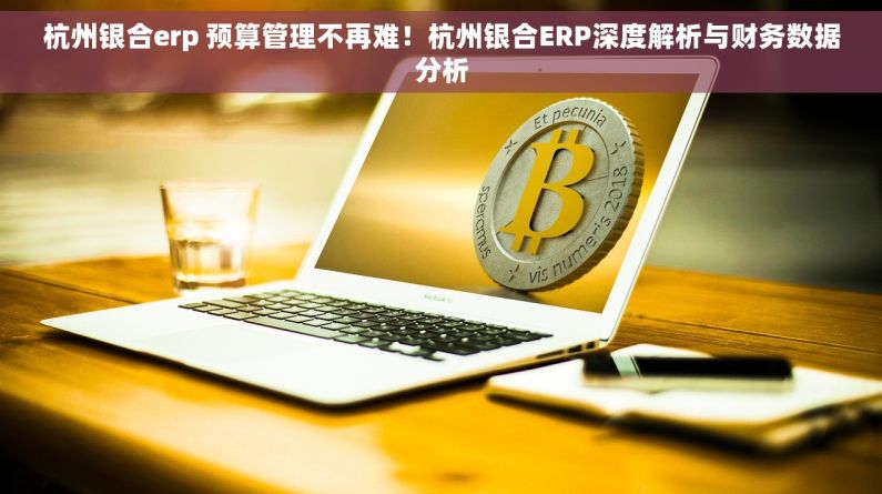 杭州银合erp 预算管理不再难！杭州银合ERP深度解析与财务数据分析