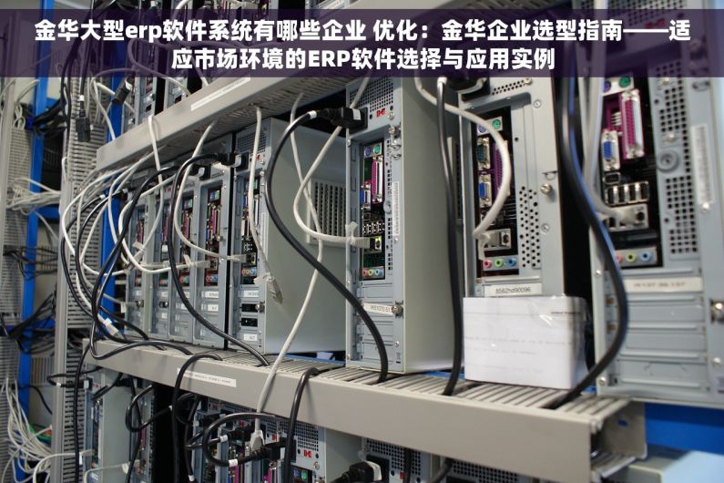 金华大型erp软件系统有哪些企业 优化：金华企业选型指南——适应市场环境的ERP软件选择与应用实例