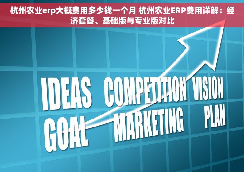 杭州农业erp大概费用多少钱一个月 杭州农业ERP费用详解：经济套餐、基础版与专业版对比