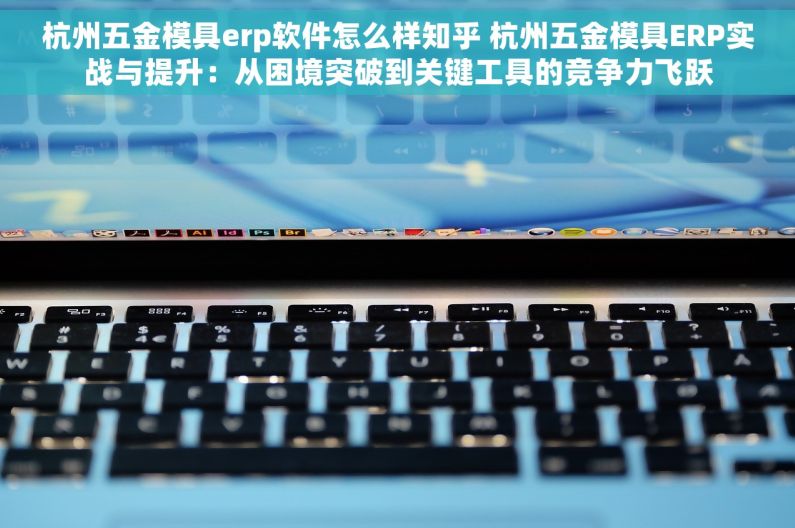 杭州五金模具erp软件怎么样知乎 杭州五金模具ERP实战与提升：从困境突破到关键工具的竞争力飞跃