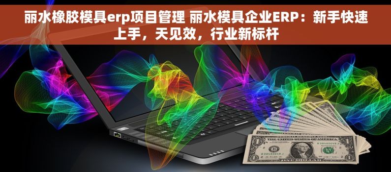 丽水橡胶模具erp项目管理 丽水模具企业ERP：新手快速上手，天见效，行业新标杆