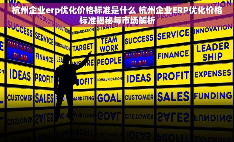 杭州企业erp优化价格标准是什么 杭州企业ERP优化价格标准揭秘与市场解析