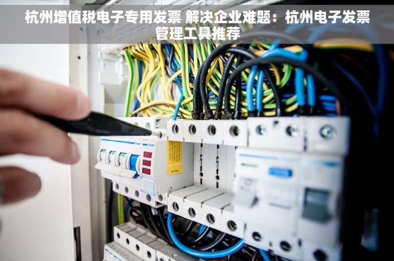 杭州增值税电子专用发票 解决企业难题：杭州电子发票管理工具推荐
