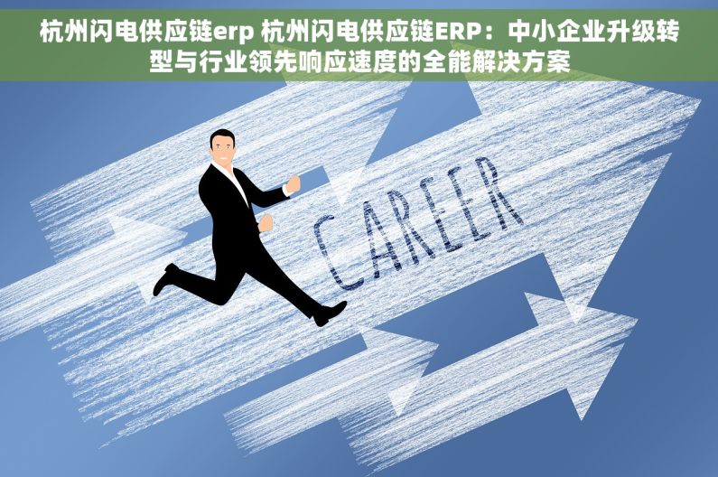 杭州闪电供应链erp 杭州闪电供应链ERP：中小企业升级转型与行业领先响应速度的全能解决方案