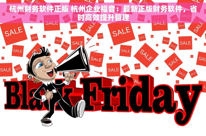杭州财务软件正版 杭州企业福音：最新正版财务软件，省时高效提升管理