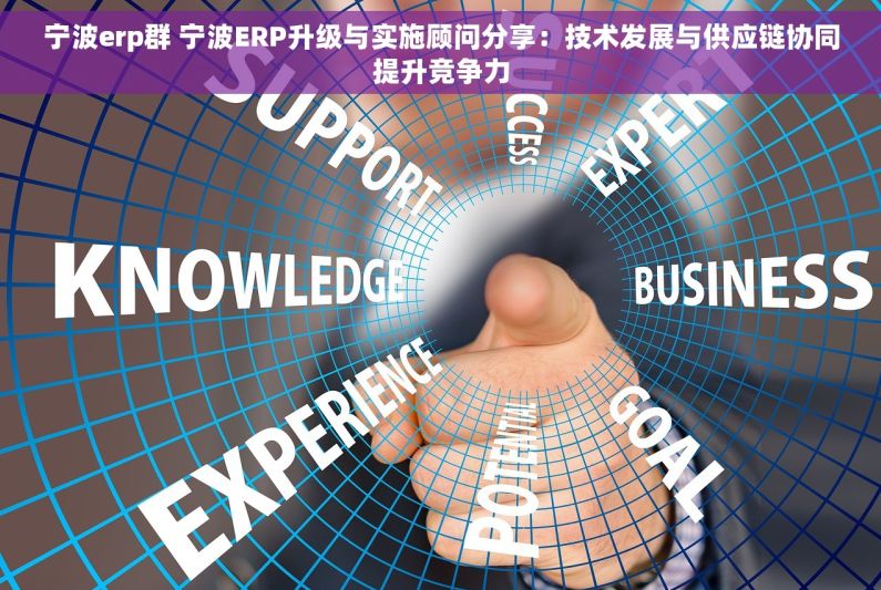 宁波erp群 宁波ERP升级与实施顾问分享：技术发展与供应链协同提升竞争力