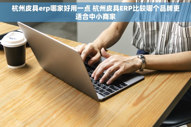 杭州皮具erp哪家好用一点 杭州皮具ERP比较哪个品牌更适合中小商家