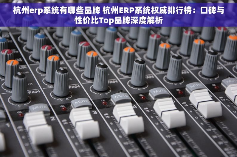 杭州erp系统有哪些品牌 杭州ERP系统权威排行榜：口碑与性价比Top品牌深度解析