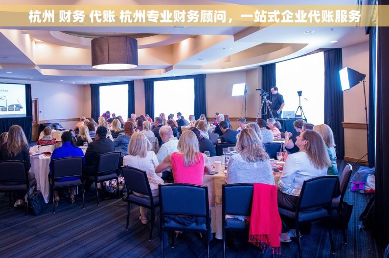 杭州 财务 代账 杭州专业财务顾问，一站式企业代账服务
