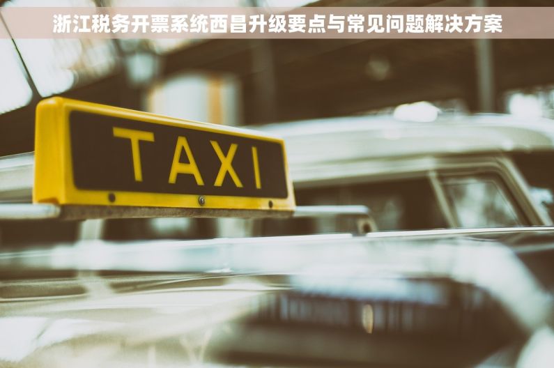 浙江税务开票系统西昌升级要点与常见问题解决方案