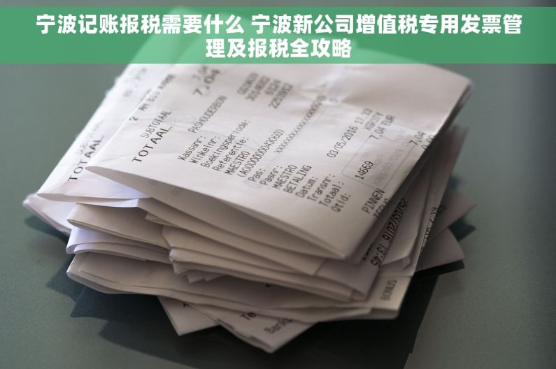 宁波记账报税需要什么 宁波新公司增值税专用发票管理及报税全攻略