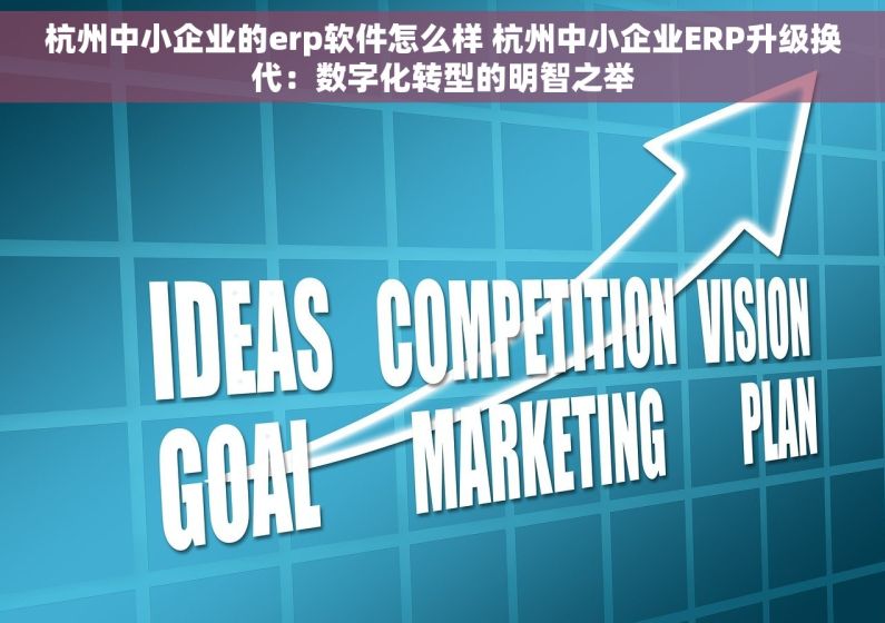 杭州中小企业的erp软件怎么样 杭州中小企业ERP升级换代：数字化转型的明智之举