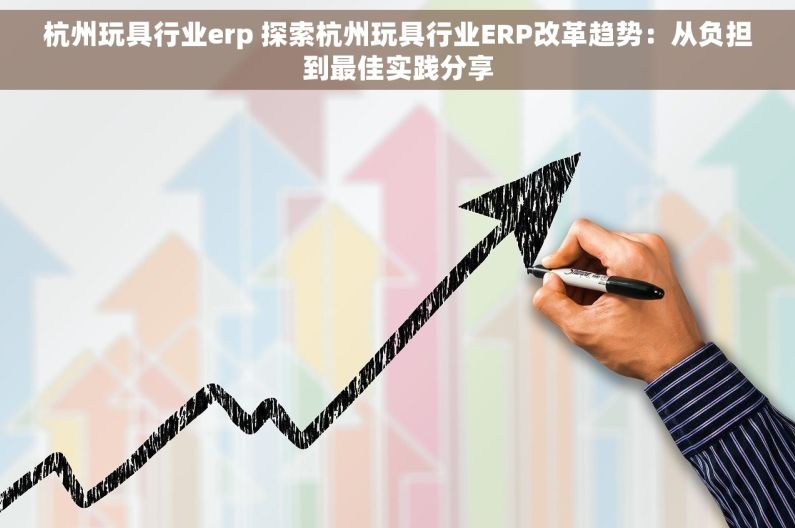 杭州玩具行业erp 探索杭州玩具行业ERP改革趋势：从负担到最佳实践分享