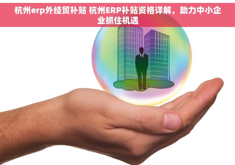 杭州erp外经贸补贴 杭州ERP补贴资格详解，助力中小企业抓住机遇