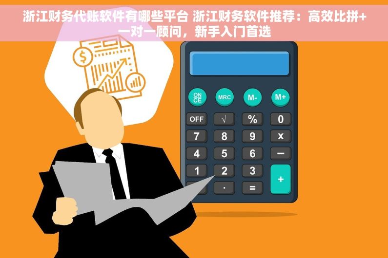 浙江财务代账软件有哪些平台 浙江财务软件推荐：高效比拼+一对一顾问，新手入门首选