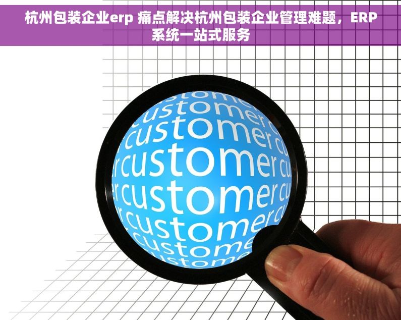 杭州包装企业erp 痛点解决杭州包装企业管理难题，ERP系统一站式服务