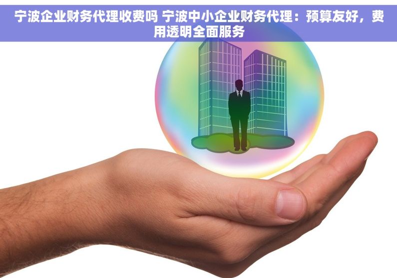 宁波企业财务代理收费吗 宁波中小企业财务代理：预算友好，费用透明全面服务