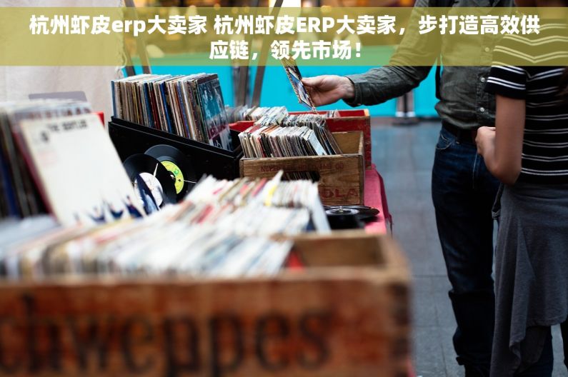 杭州虾皮erp大卖家 杭州虾皮ERP大卖家，步打造高效供应链，领先市场！