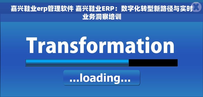 嘉兴鞋业erp管理软件 嘉兴鞋业ERP：数字化转型新路径与实时业务洞察培训