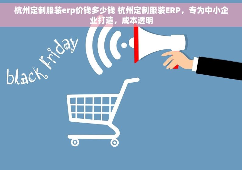 杭州定制服装erp价钱多少钱 杭州定制服装ERP，专为中小企业打造，成本透明