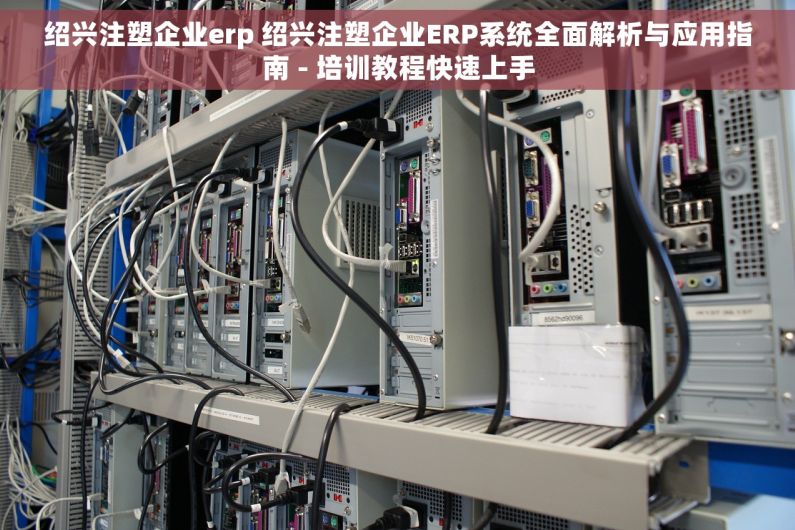 绍兴注塑企业erp 绍兴注塑企业ERP系统全面解析与应用指南 - 培训教程快速上手