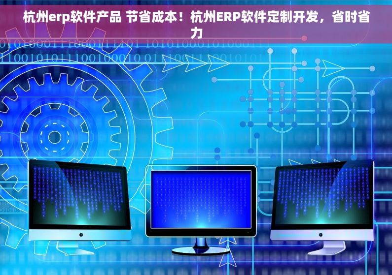 杭州erp软件产品 节省成本！杭州ERP软件定制开发，省时省力