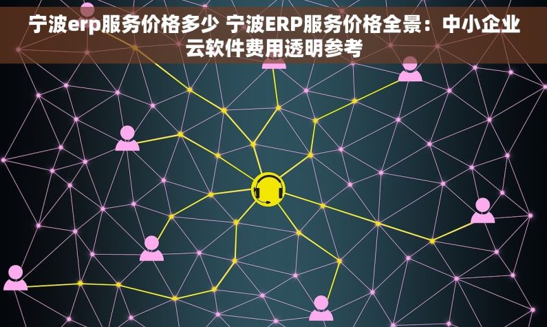 宁波erp服务价格多少 宁波ERP服务价格全景：中小企业云软件费用透明参考