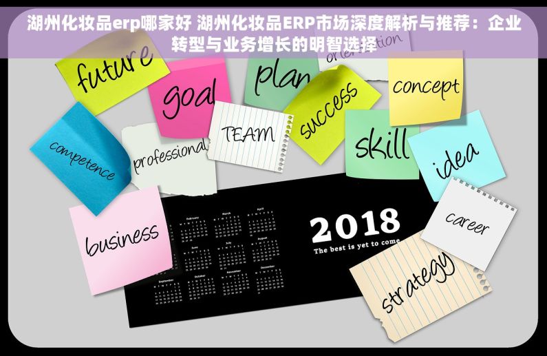 湖州化妆品erp哪家好 湖州化妆品ERP市场深度解析与推荐：企业转型与业务增长的明智选择