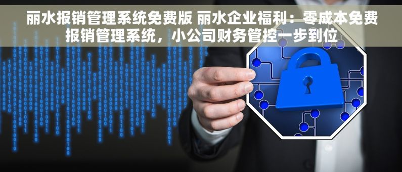 丽水报销管理系统免费版 丽水企业福利：零成本免费报销管理系统，小公司财务管控一步到位