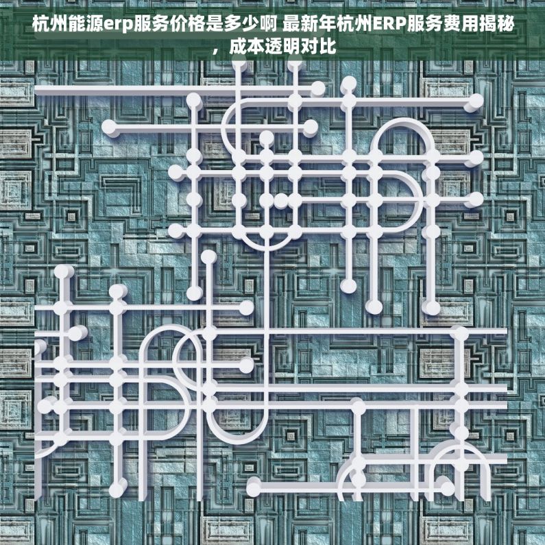 杭州能源erp服务价格是多少啊 最新年杭州ERP服务费用揭秘，成本透明对比