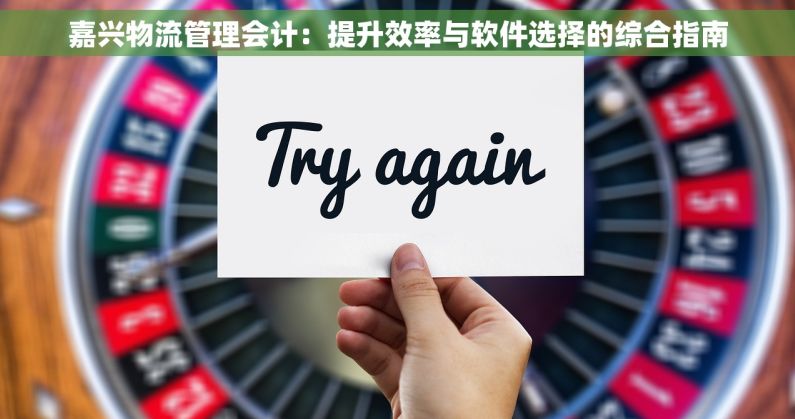 嘉兴物流管理会计：提升效率与软件选择的综合指南