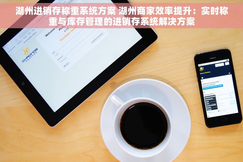 湖州进销存称重系统方案 湖州商家效率提升：实时称重与库存管理的进销存系统解决方案