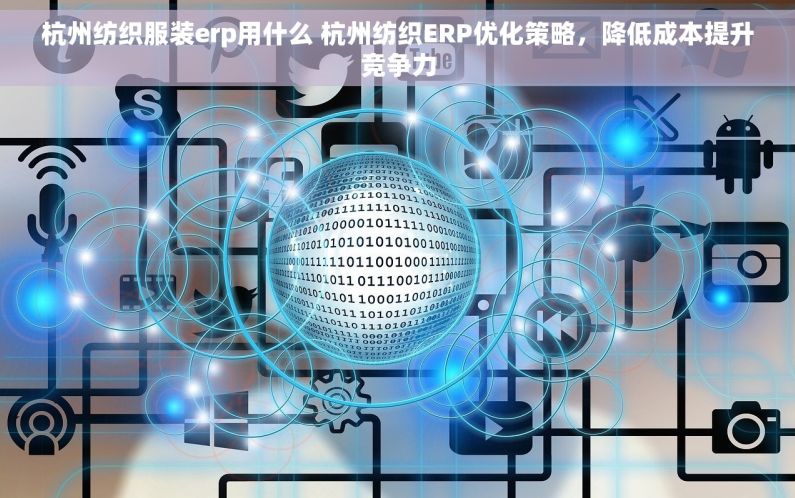 杭州纺织服装erp用什么 杭州纺织ERP优化策略，降低成本提升竞争力