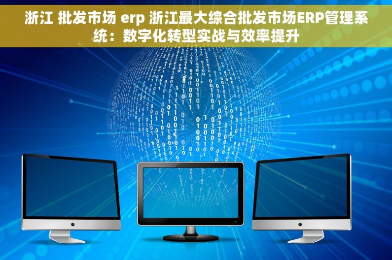 浙江 批发市场 erp 浙江最大综合批发市场ERP管理系统：数字化转型实战与效率提升