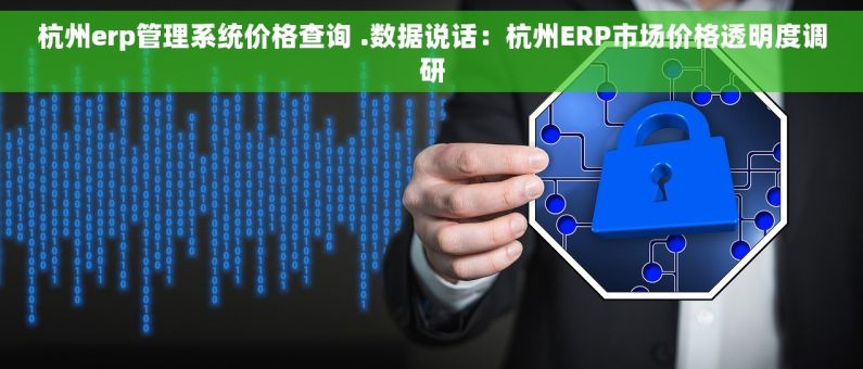杭州erp管理系统价格查询 .数据说话：杭州ERP市场价格透明度调研