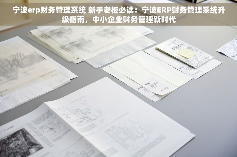 宁波erp财务管理系统 新手老板必读：宁波ERP财务管理系统升级指南，中小企业财务管理新时代