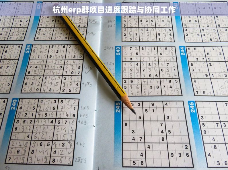 杭州erp群项目进度跟踪与协同工作
