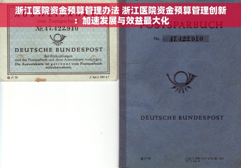 浙江医院资金预算管理办法 浙江医院资金预算管理创新：加速发展与效益最大化