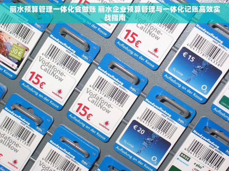 丽水预算管理一体化会做账 丽水企业预算管理与一体化记账高效实战指南