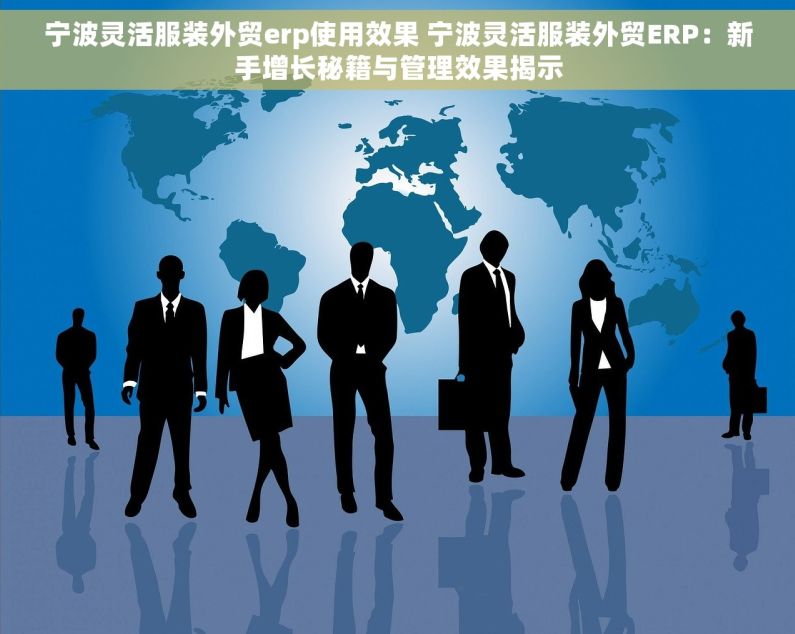 宁波灵活服装外贸erp使用效果 宁波灵活服装外贸ERP：新手增长秘籍与管理效果揭示