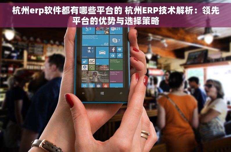 杭州erp软件都有哪些平台的 杭州ERP技术解析：领先平台的优势与选择策略