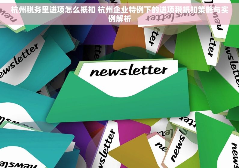 杭州税务里进项怎么抵扣 杭州企业特例下的进项税抵扣策略与实例解析