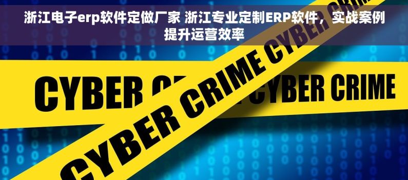 浙江电子erp软件定做厂家 浙江专业定制ERP软件，实战案例提升运营效率