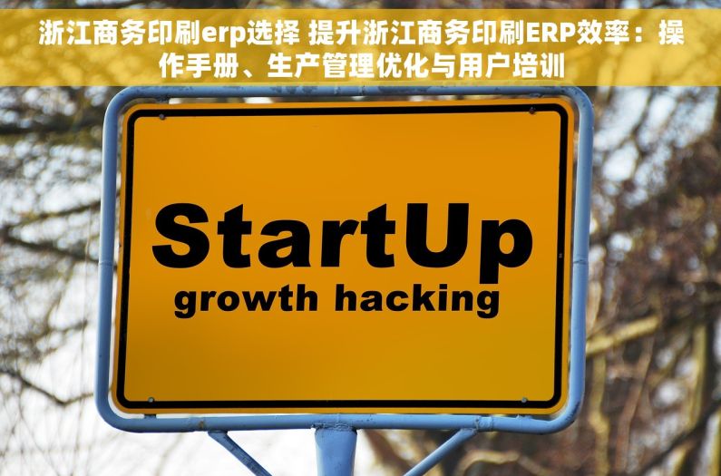 浙江商务印刷erp选择 提升浙江商务印刷ERP效率：操作手册、生产管理优化与用户培训