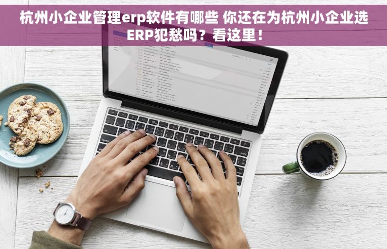 杭州小企业管理erp软件有哪些 你还在为杭州小企业选ERP犯愁吗？看这里！