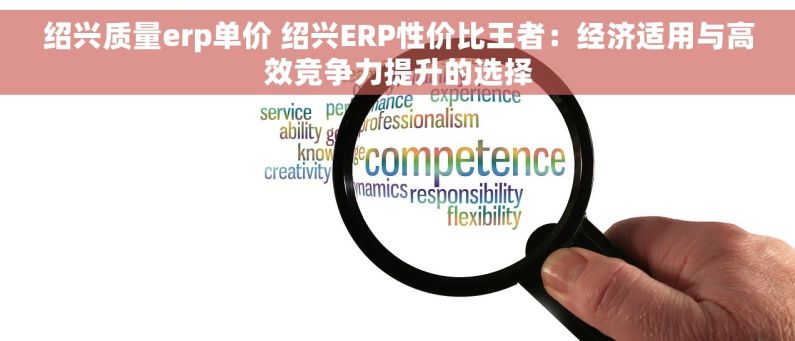 绍兴质量erp单价 绍兴ERP性价比王者：经济适用与高效竞争力提升的选择