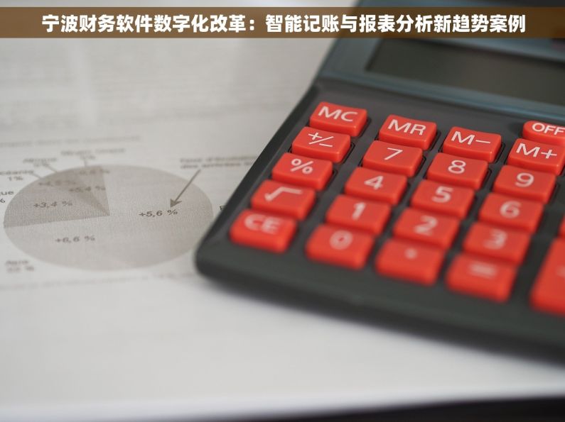 宁波财务软件数字化改革：智能记账与报表分析新趋势案例