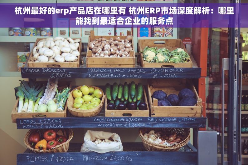杭州最好的erp产品店在哪里有 杭州ERP市场深度解析：哪里能找到最适合企业的服务点
