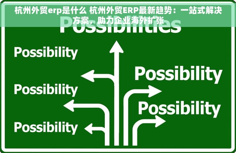 杭州外贸erp是什么 杭州外贸ERP最新趋势：一站式解决方案，助力企业海外扩张