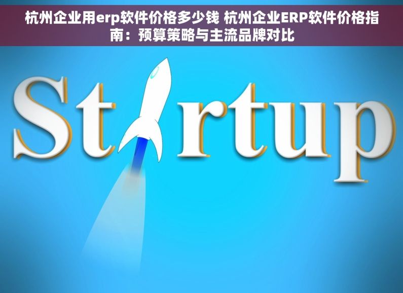 杭州企业用erp软件价格多少钱 杭州企业ERP软件价格指南：预算策略与主流品牌对比